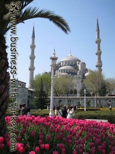 Mesquita azul