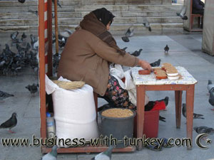 Artigos sobre a Turquia